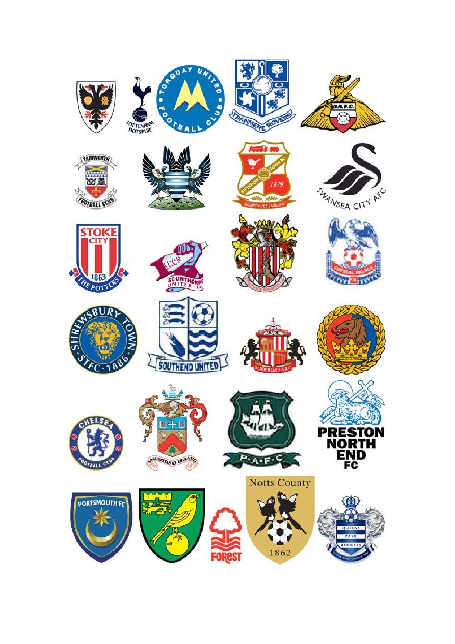 体育总监的 体育总监的